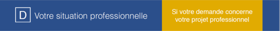 votre situation professionnelle - si votre demande concerne votre projet professionnel